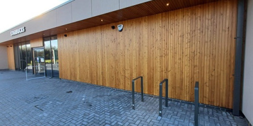 European Larch