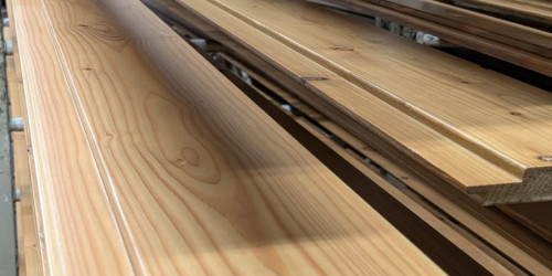 European Larch